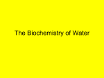 The Biochemistry of Water