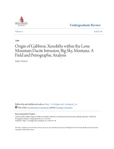 Origin of Gabbroic Xenoliths within the Lone Mountain Dacite