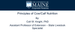Principles of Cow/Calf Nutrition - University of Maine Cooperative