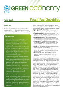 Policy Brief Fossil Fuel Subsidies