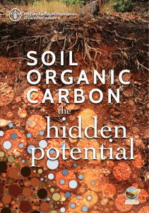 Soil Organic Carbon: the hidden potential