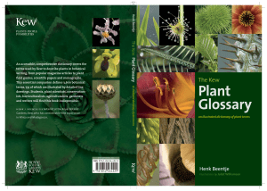 Plant Glossary - PA35 Going Live.