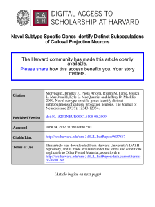 Full Text - Digital Access to Scholarship at Harvard