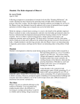 Mumbai: The Redevelopment of Dharavi Mumbai The Slum