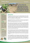 WEMA-KE policy brief 2a - African Agricultural Technology Foundation
