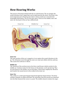 How Hearing Works