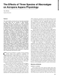 The Effects of Three Species of Macroalgae on Acropora Aspera