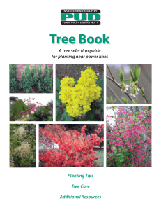 Tree Book - Snohomish County PUD