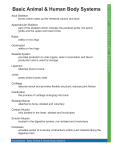 Animal Body Systems Vocabulary Handout