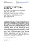 Human Development VI: Supracellular Morphogenesis