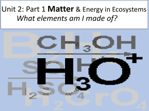 What elements am I made of?