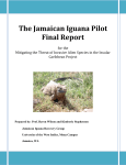 The Jamaican Iguana Pilot Final Report