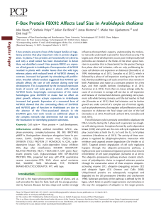 F-Box Protein FBX92 Affects Leaf Size in