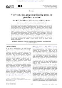 You`re one in a googol: optimizing genes for protein expression