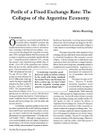 The Collapse of the Argentine Economy