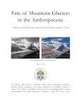 Fate of Mountain Glaciers in the Anthropocene