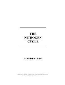 THE NITROGEN CYCLE - unitedstreaming.com