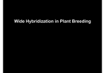 Wide Hybridization in Plant Breeding