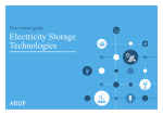 Electricity Storage Technologies