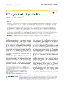 ATP regulation in bioproduction