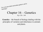 Chapter 16 – Genetics