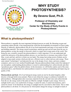 Why Study Photosynthesis?