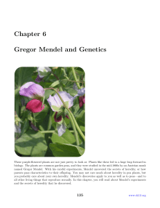Chapter 6 - Gregor Mendel and Genetics