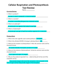 Cellular Respiration and Photosynthesis Test Review