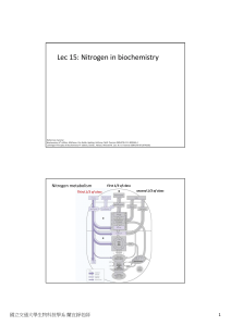 Lec 15: Nitrogen in biochemistry