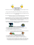 Español III/ III Honores Guía de estudiar: El examen