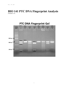 BIO 141 PTC DNA Fingerprint Analysis