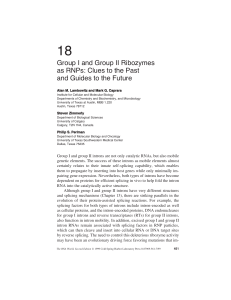 Group I and Group II Ribozymes as RNPs: Clues to the