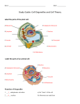 Study Guide: Cell Organelles and Cell Theory