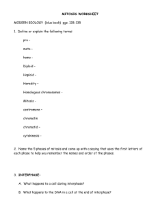 MITOSIS WORKSHEET - New Page 1 [bs079.k12.sd.us]