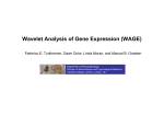 Wavelet Analysis of Gene Expression (WAGE)