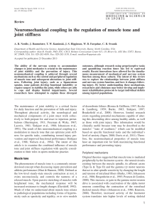 Neuromechanical coupling in the regulation of muscle tone and joint