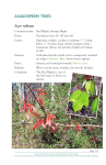 ANGiosPerM trees - dmr.state.ms.us