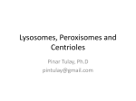 Lysosomes, Peroxisomes and Centrioles