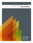BlackRock Investment InstItute