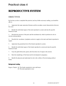 Practical class 4 REPRODUCTIVE SYSTEM ODUCTIVE SYSTEM
