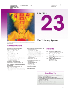Chapter23_UrinarySystem
