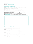 20.2 Prokaryotes Classifying Prokaryotes