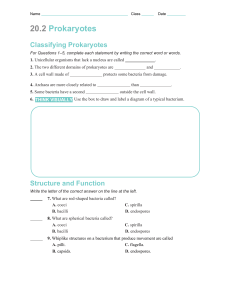 20.2 Prokaryotes Classifying Prokaryotes