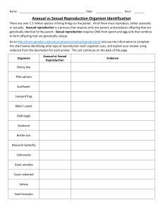 Asexual vs Sexual Reproduction Organism Identification