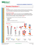Student Handout 1 - 3D Molecular Designs