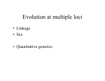 Evolution at multiple loci