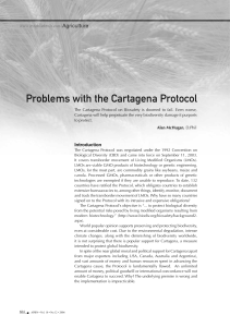 Problems with the Cartagena Protocol