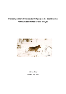 Diet composition of wolves (Canis lupus) on the Scandinavian