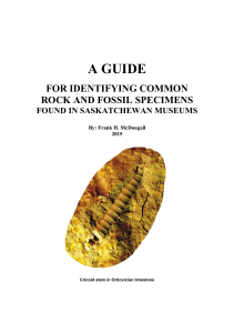 a guide for identifying common rock and fossil specimens found in