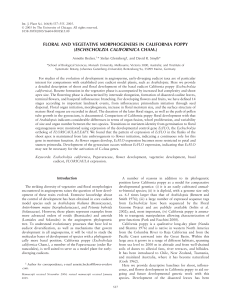 floral and vegetative morphogenesis in california